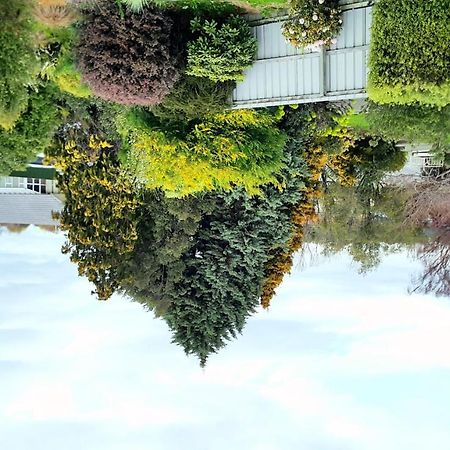 Lilybrook Motel Rangiora Zewnętrze zdjęcie