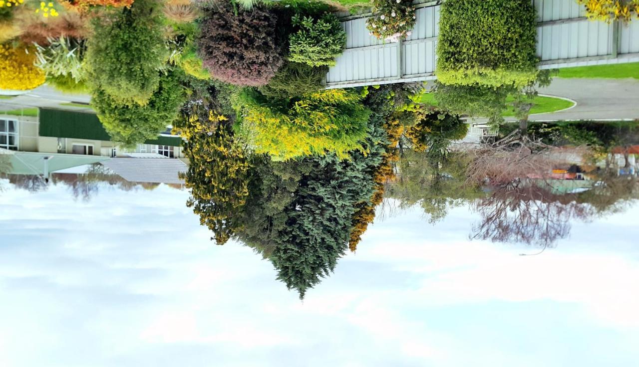 Lilybrook Motel Rangiora Zewnętrze zdjęcie